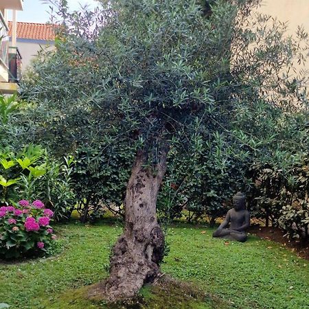 Superbe Appartement Avec Jardin Saint Charles Μπιαρίτζ Εξωτερικό φωτογραφία